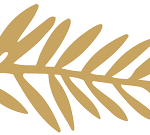 palma d’oro